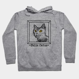 Felis Catus (Cat) Hoodie